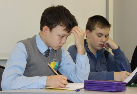 Олимпиадная подготовка